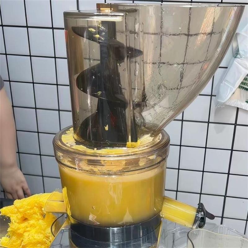 Juicer Cold Press Slow - Spremiagrumi Commerciale da 500W ad Alta