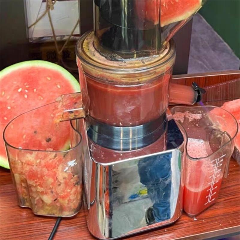 Juicer Cold Press Slow - Estrattore di succo a freddo da