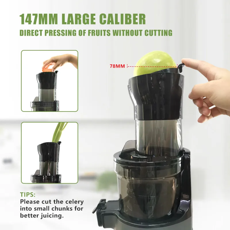 FirmHome StoreIslow Spremiagru - Juicer Cold Press Slow recensione e prezzo