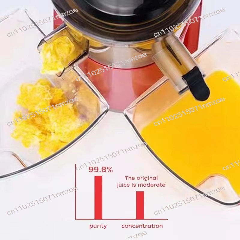 Spremiagrumi lento di grande d - Juicer Cold Press Slow recensione e prezzo