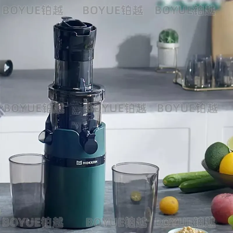 Estrattore di succo a freddo a - Juicer Cold Press Slow recensione e prezzo