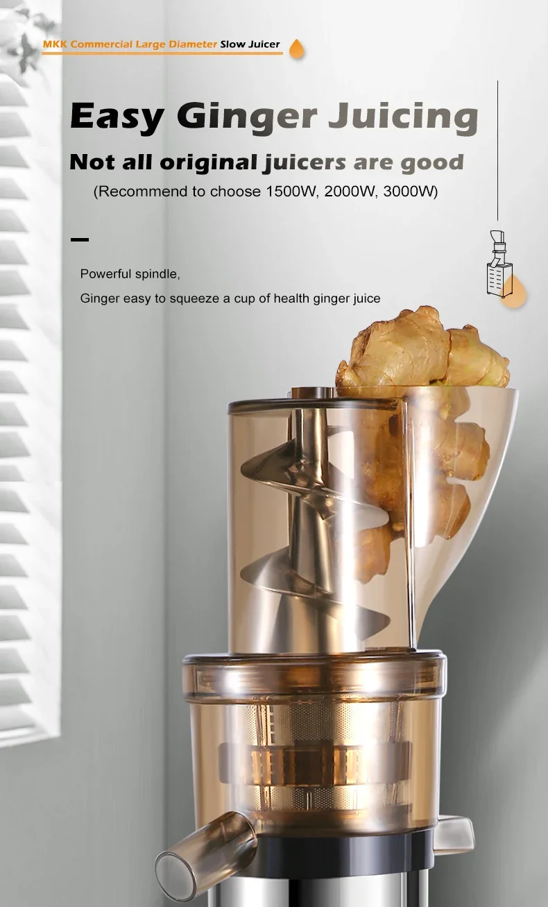 Estrattore professionale per s - Juicer Cold Press Slow recensione e prezzo